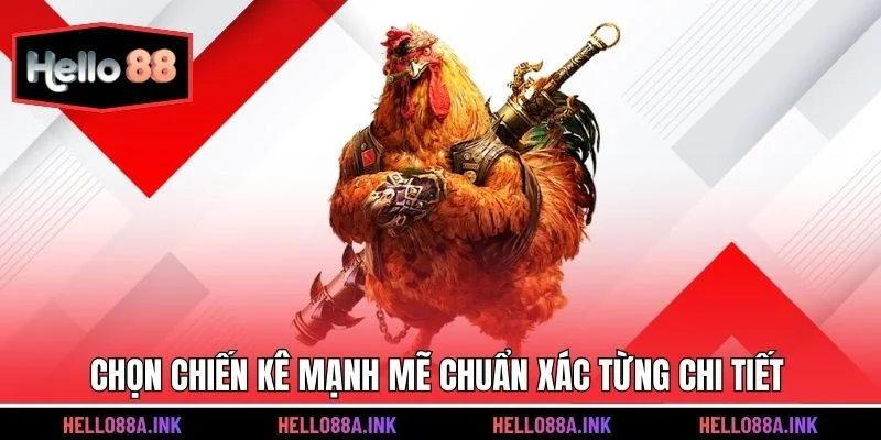 Những yếu tố nhận diện trường đá gà uy tín