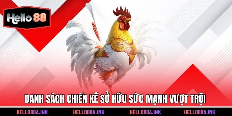 Danh sách chiến kê sở hữu sức mạnh vượt trội