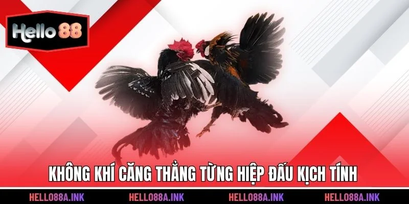 Không khí căng thẳng từng hiệp đấu kịch tính