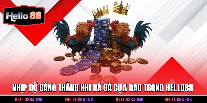 Quy tắc chọn gà trong đá gà cựa dao