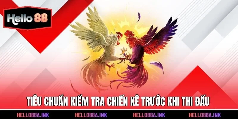 Tiêu chuẩn kiểm tra chiến kê trước khi thi đấu