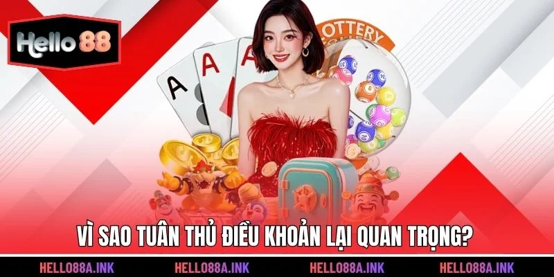 Vì sao việc tuân thủ quy định điều khoản lại quan trọng